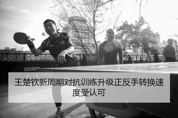 王楚钦新周期对抗训练升级正反手转换速度受认可